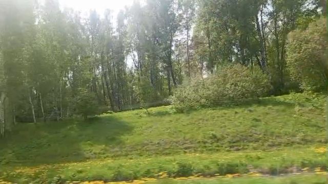 Рубрика. В деревне