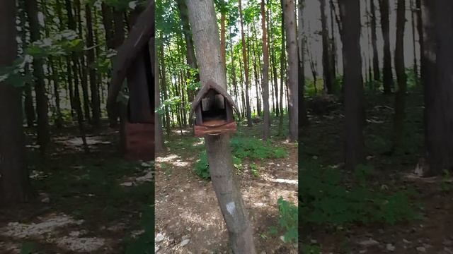 Уфимское ожерелье. Прогулка. Часть 2