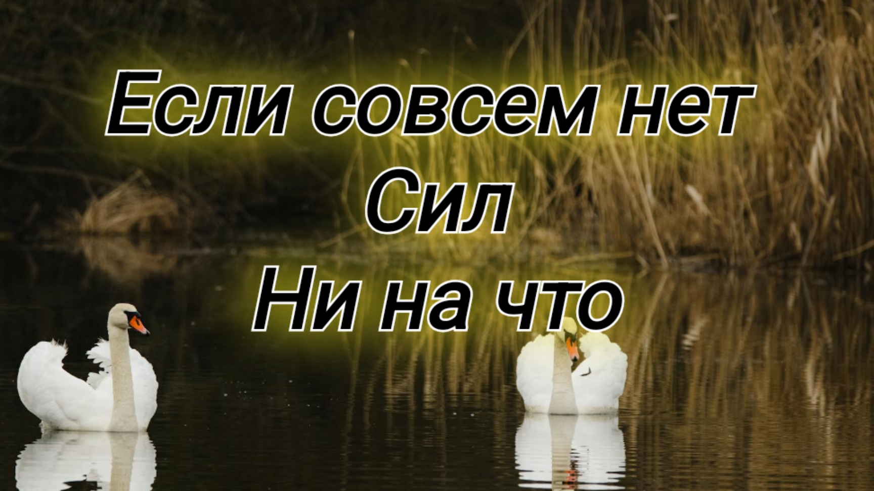 Если совсем ни на что нет сил и чувствуется тяжесть: слушай псалмы 🌺