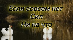 Если совсем ни на что нет сил и чувствуется тяжесть: слушай псалмы 🌺