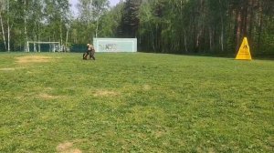 1.  выражено/перв ЗИГЕР ИЗ ДОМА ЗЕВСА (Per v. Team Huhnegrab – Уллири из Белого Яра)