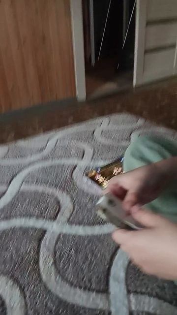 тока бока 67
