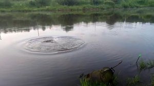 Владимир может