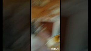 ремейк СЕРИАЛА матвей убил даню, можете распрост.видео, только сразу пишите что идея пренадлежит нам