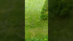 жизнь в деревне 2 часть