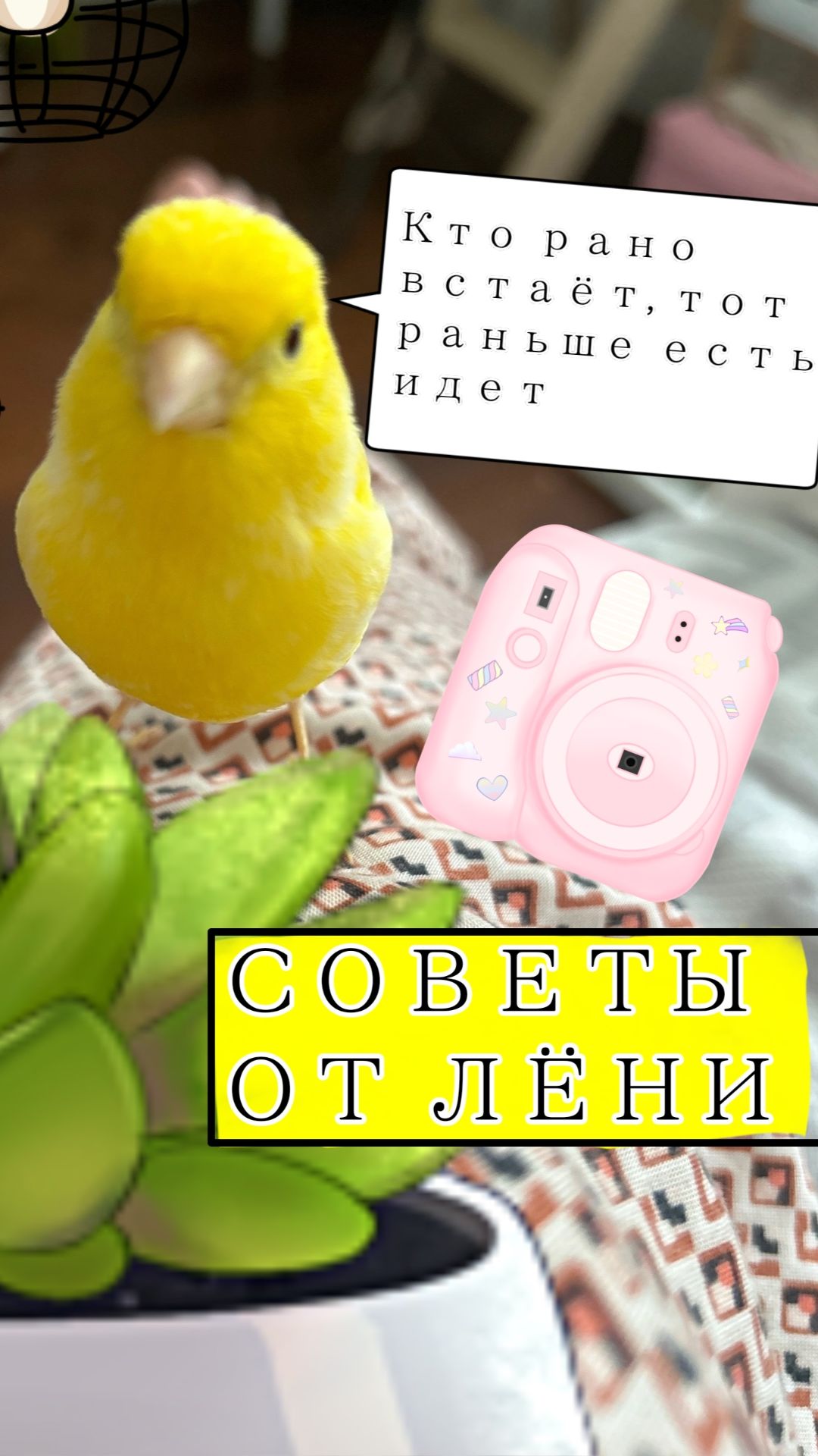 Советы от Лёни