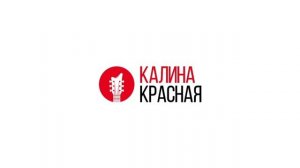 Рекламный блок (Радио Калина Красная Петрозаводск 101.8 FM, 13.12.2020)