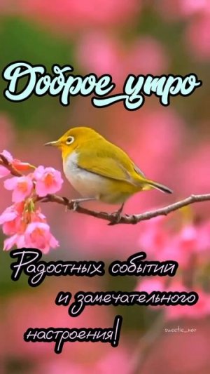Доброе утро