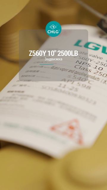 Z560Y 10'' 2500LB Запорный затвор-CHLG