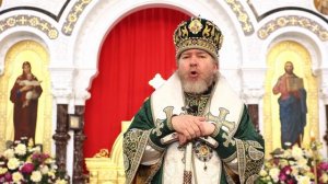 Ничего не бывает без промысла Божьего. Наше дело только понять ЗАЧЕМ. Митрополит Тихон(Шевкунов)