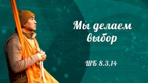 2026.05.29 - ШБ 8.3.14. Е. С. Даяван Свами