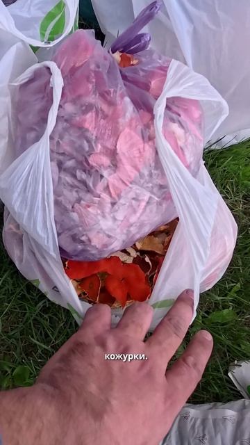 Идеальная посадка картошки