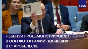 Небензя продемонстрировал в ООН фотографии погибших в Старобельске