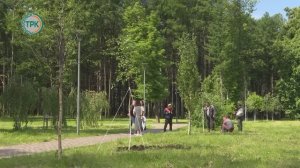 В Новомосковске прошла очередная высадка деревьев