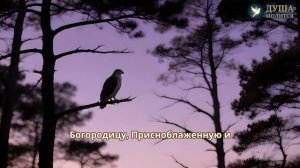 Вечернее правило для мирян (сокращённое) 🌙 5 минут | С текстом