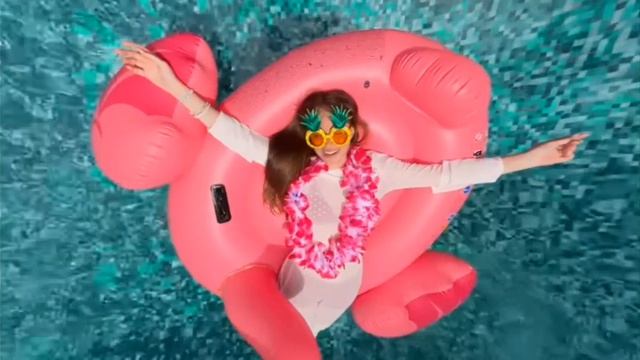 клип на моря охота 🌴🌊🌞🐠🦀