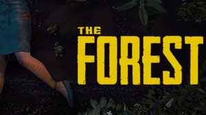 The Forest. Сюжет не проходим - просто возюкаемся, выживаем и строим чёнить.