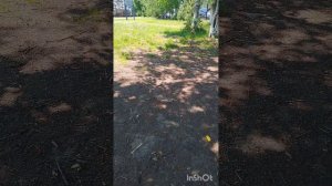 Немного о себе