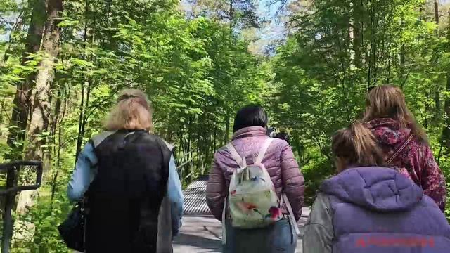 Живые дюны Кушнирской косы. Высота Эфа.