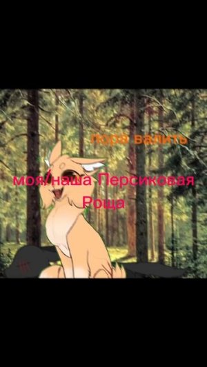 их vs наше/моё