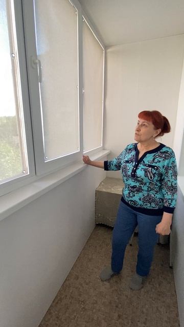 Солнце больше не мешает. Отзыв о шторах на присосках СКРИН