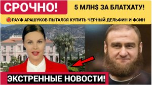 🛑РОССИЯ В ШОКЕ! 5 МЛН $ за камеру-люкc! Как Арашуков пытался купить Черный дельфин»