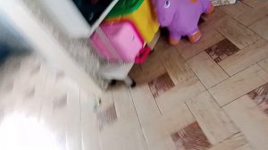 1000005506.mp4