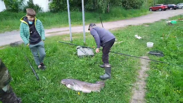 Очередной Трофей от Юрия Ивановича 02.06.2026г. смотреть онлайн