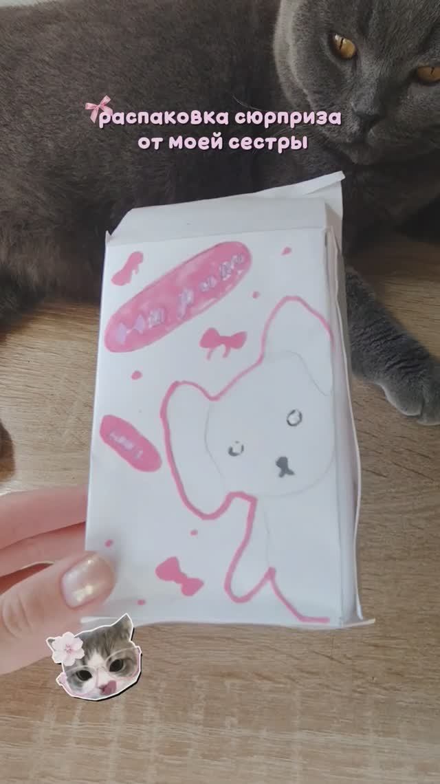 распаковка сюрпризов от младшей сестры 🌷 смотреть онлайн