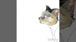 Мой кот Уся