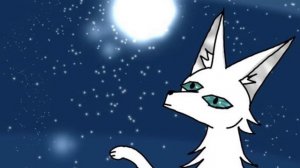 Облодка к фанфику «Судьба Небоглазого»