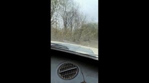 новая вылазка в лес на природу