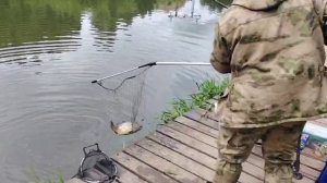 Карпуша