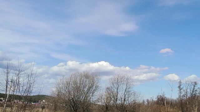 А.П. Чехов. КАЗАК. Читает Анатолий Алымов. Аудиокнига