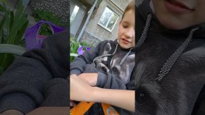 челендж какая конфета