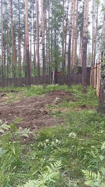 VID_20260602_131157_554