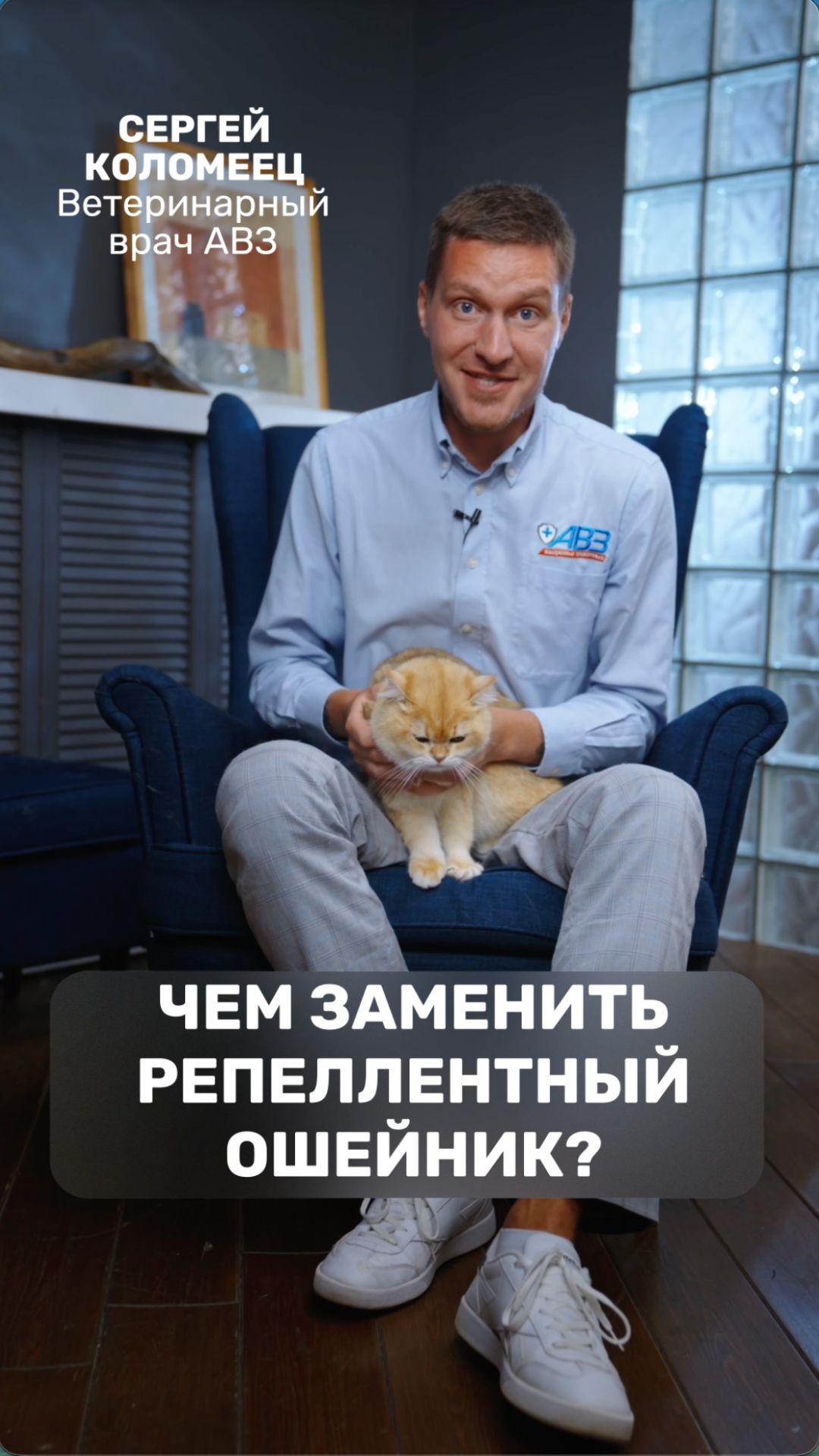 Чем заменить репеллентный ошейник?