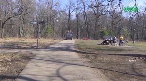 Более 11 млн рублей планируют выделить на обработку против мышей и клещей