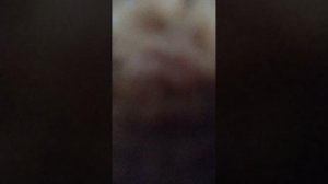 человек в разных масках