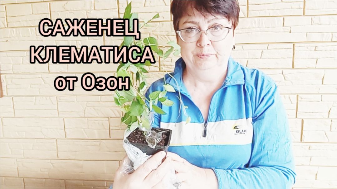 Саженец от ОЗОН 🪴