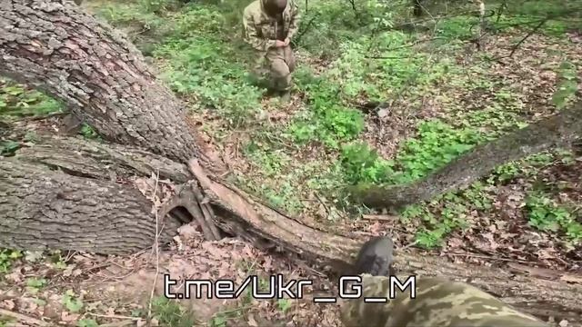 Бей своих чтоб чужие боялись 😄 смотреть онлайн