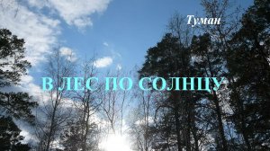 В лес по Солнцу