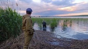 запустили судака в марьевское вдхр