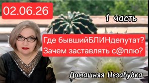 1 часть. Где бывшийБЛИНдепутат из ДОСКИНО❓️Зачем заставлять с@плю❓️