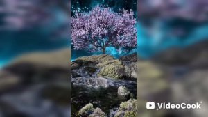 «Анекдот: Случи в школе».