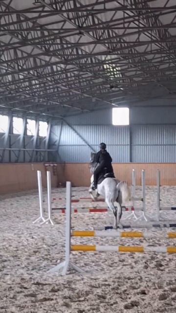 На Орлике |конный спорт |