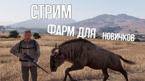 Лучший фарм для новичков в Африке Way of the Hunter 2