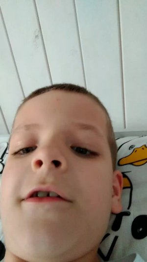 сборник видео