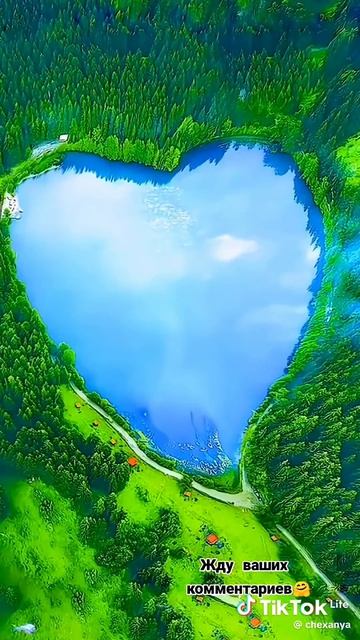 Религия Ислам ☝️🕌🕋♥️♥️♥️ Намаз 🤲📿💚💚💚 Аллаху Акбар 🙏🌺🌿🌺🌿🌺🌿🌺🌿 → 👤 #Нурдидя_Сафиуллина
