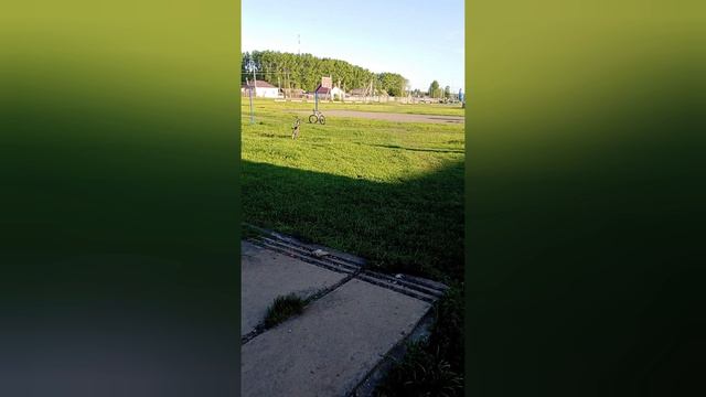 Гуляю на улице смотреть онлайн